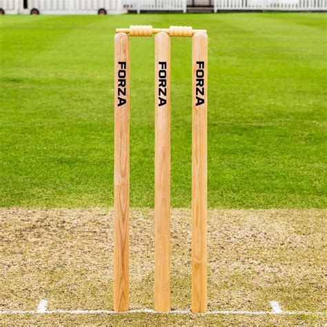 FORZA Wooden Cricket Stumps [ICC Regulation] | Net World Sports