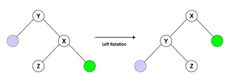 AVL Tree Code in Java 的图像结果