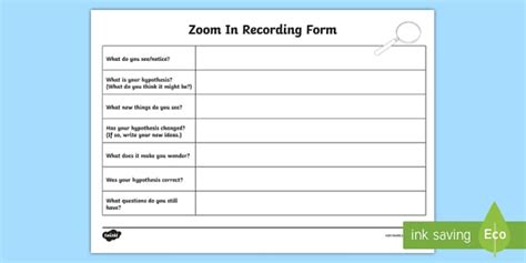 Zoom In Recording Form Worksheet (teacher made) - Twinkl
