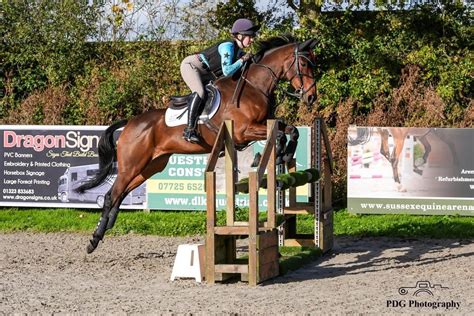 Arena Eventing @ Golden Cross EC Inc SEEL, BE Qualifiers & Equine ...