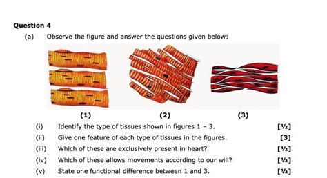 PLS HELP ME WILL MARK AS BRAINLIEST - Brainly.in