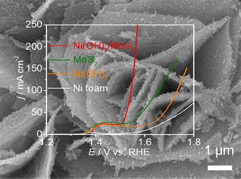 Coupling Interface Construction of Ni(OH)2/MoS2 Composite Electrode for ...