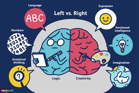 Left Brain vs. Right Brain Dominance: What's the Reality?