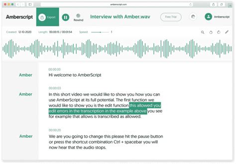Image result for How to Transcript MP3 Audio