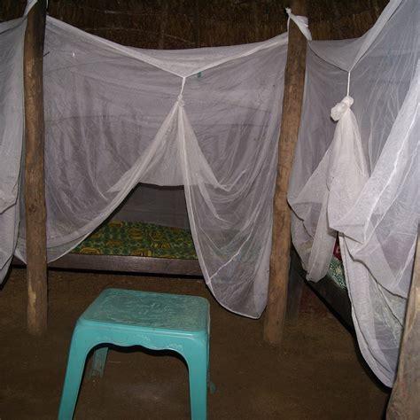 HOMESTAY LOPO MUTIS (Soe) - Lodge Reviews & Photos - Tripadvisor