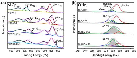 Ni/NiO Nanocomposites with Rich Oxygen Vacancies as High-Performance ...