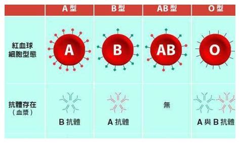 人的血型分类系统中有哪几种主要血型分类？求简要介绍？ - 知乎