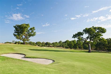 Image result for Wolves Balmain