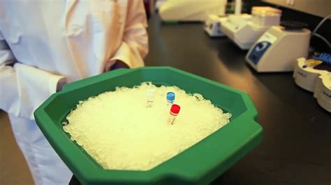 DNA Library Prep Protocol 的图像结果