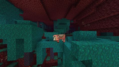 Image result for Minecraft Nether Update