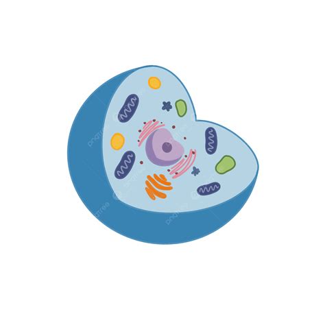 Biology Cells Clipart