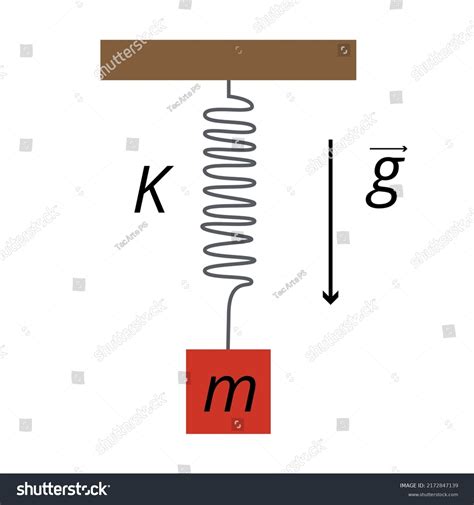 Image result for Mass Spring System Animation