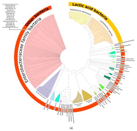Fermentation | Special Issue : Mixed Culture Fermentation