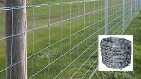 Tarbandi Yojana 2023: फसलों को जंगली जानवरों से सुरक्षित रखने के लिए ...