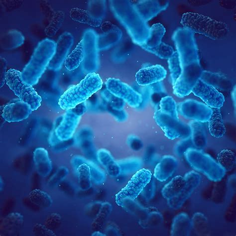 Image result for Host-Pathogen