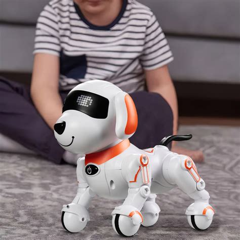 Image result for Remote Control Dog Toy