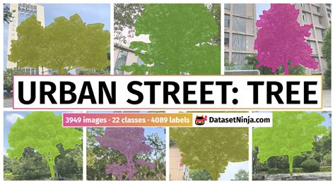 Urban Street: Tree - Dataset Ninja