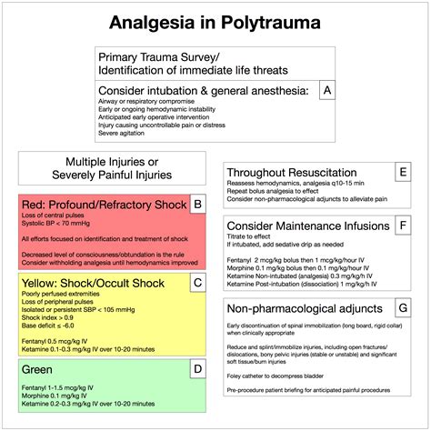 Pain in the Polytrauma Patient – painandpsa.org