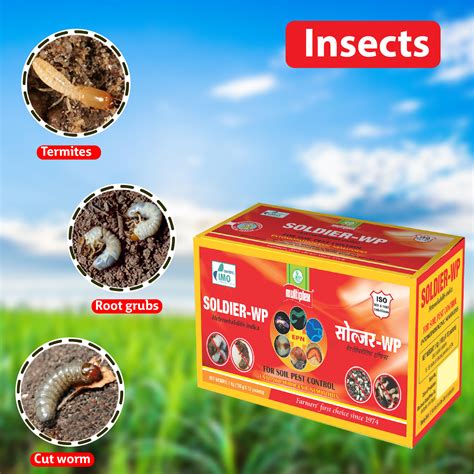 Multiplex Soldier (EPN ) Insecticide – Agriplex