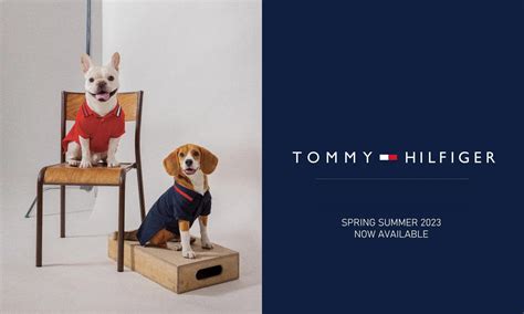 Buy Tommy Hilfiger Dog | Kanine India – Kanineindia