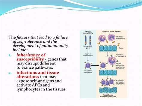 Autoimmunity Lecture 的图像结果