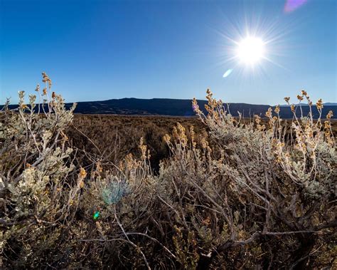 Colorado 159, San Luis, CO 80836 | Land.com