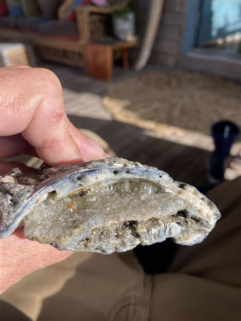 Image result for Clamshell Inside