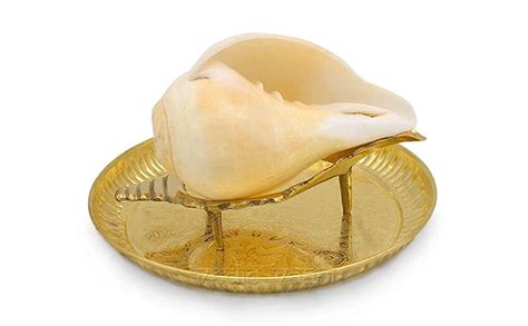 Buy DGC Divine Natural Sacred Puja Blowing Shankh/Shanku/Conch with ...
