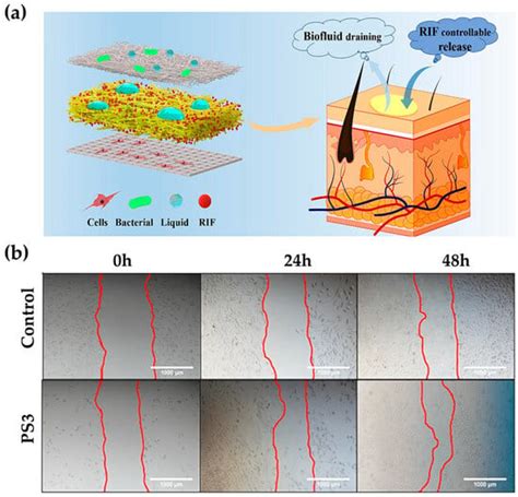 Biomimetic Materials for Skin Tissue Regeneration and Electronic Skin