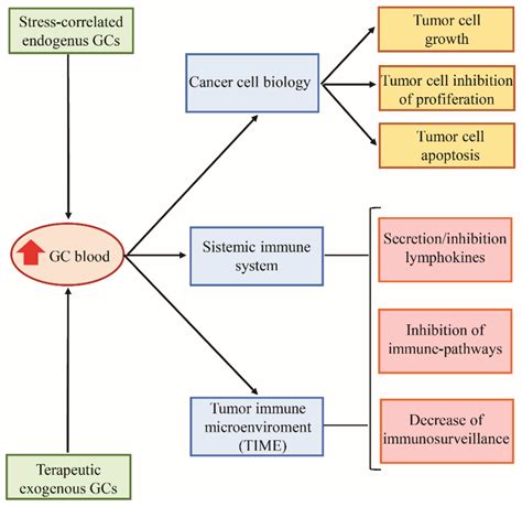 Glucocorticoid and PD-1 Cross-Talk: Does the Immune System Become Confused?