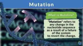 Mutation Example 的图像结果