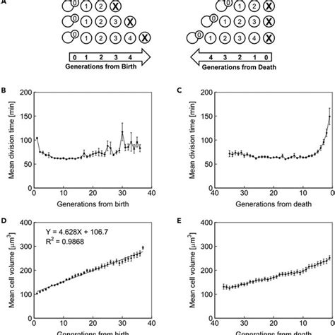 Aging Model 的图像结果