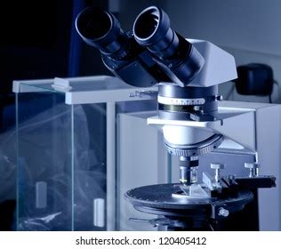 Polarizing Light Microscope 的图像结果