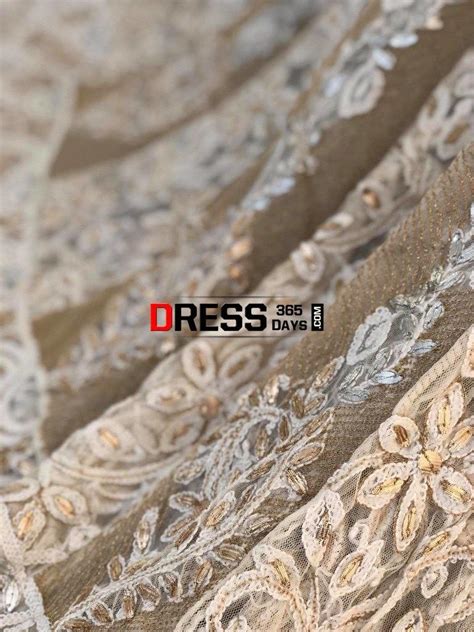 Net Gota Patti Chikankari Anarkali (Only Anarkali) – Dress365days