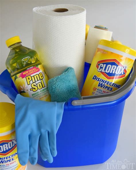 Image result for Spring Cleaning Tips