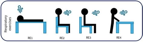 Establishing Reference Metrics for Respiratory Exercises Through ...