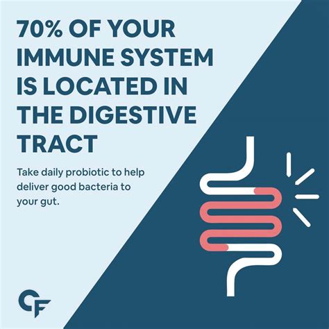 Buy CARBAMIDE FORTE PROBIOTICS 50 BILLION CFU WITH PREBIOTICS 150 MG ...