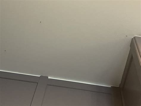 THE PONSBOURNE HOTEL (Hertford, Hertfordshire, England) - Hotel Reviews ...