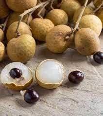 APOSOLUARD Longan Litchi Bitumen Dragon eye Grafted Healthy Live Fruit ...