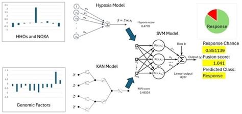 Kolmogorov–Arnold Network Model Integrated with Hypoxia Risk for ...
