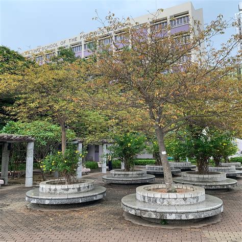 SHAM SHUI PO PARK - All You Need to Know BEFORE You Go 2026 (with ...