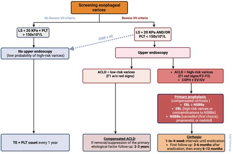Rubber Band Ligation In Esophageal Varices at Russell Romine blog