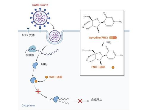 Azvudine Tablets 的图像结果