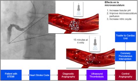 Maples Scientific Publisher | Open Access Journals | Peer-reviewed ...