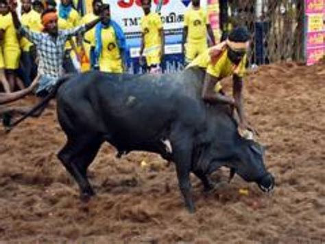 Tamil Nadu: Two die during Manjuvirattu event in Madurai