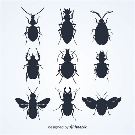 Kevers Afbeeldingen - Gratis downloaden op Freepik