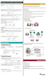 Chemistry in Everyday Life (Old NCERT) Mind Map - NEET Chemistry Class