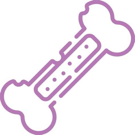 BoneRenew - Strengthen Your Bones! – Secondaid Healthcare Pvt.Ltd.