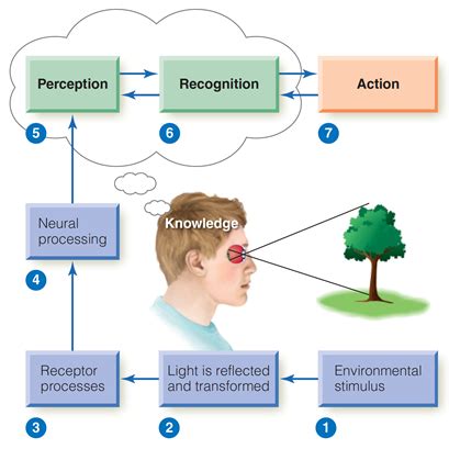 Image result for Understanding Perceptions