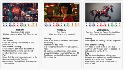 Image result for Bridge Video Lessons